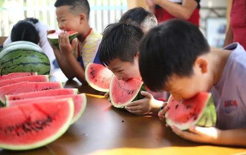 吃瓜大赛亲子,吃瓜大赛欢乐无限