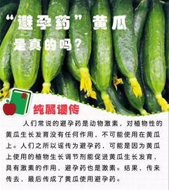 打吊瓶吃瓜,品味生活之瓜