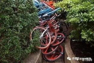 共享单车群众吃瓜,群众吃瓜背后的现象解析